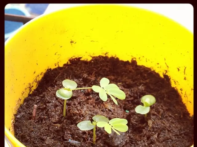 Properly selecting and accurately installing microirrigation systems: a guide