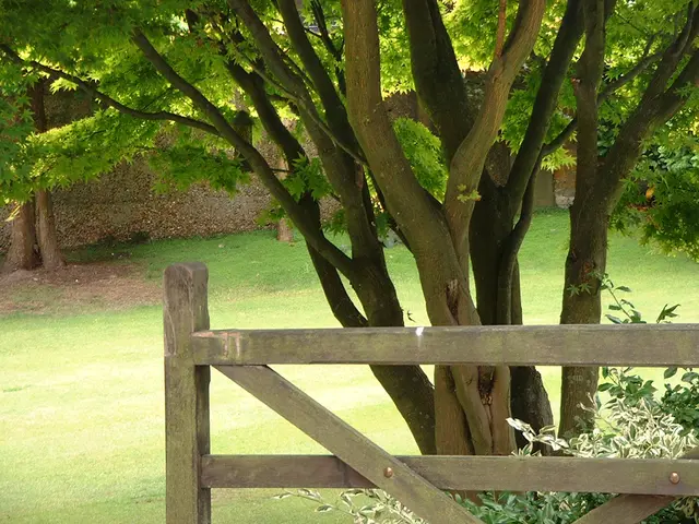 Film set duties of a greensman include designing, constructing, and maintaining natural-looking...