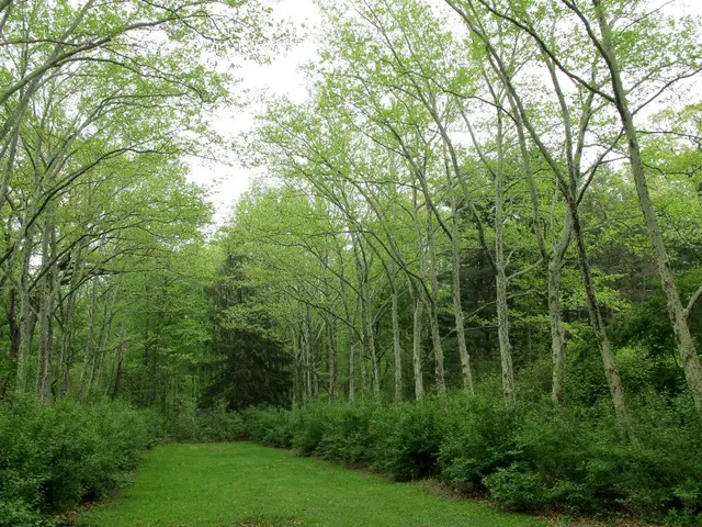 Lawn owners express intention to only cut grass once during May, in line with a survey endorsing...