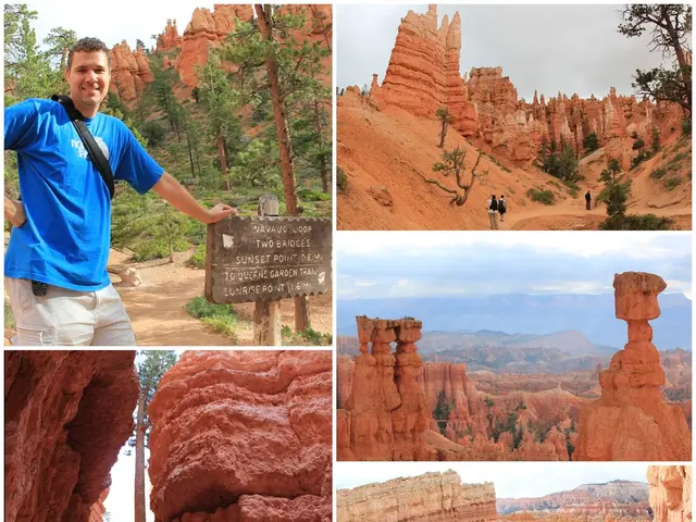 Images remain as the subsequent content