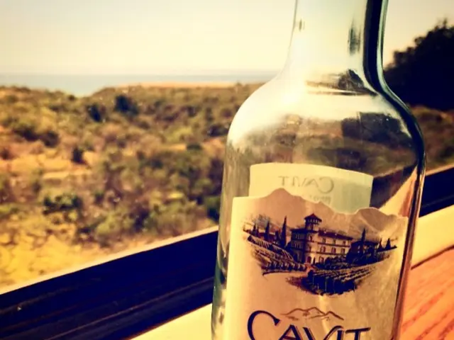 Guidelines for Germinating Ginseng Seeds: Insights on Cultivating Ginseng from Seeds