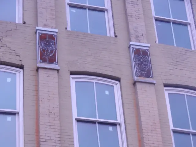 Upgrading Your Abode: The Benefits of Installing Vinyl