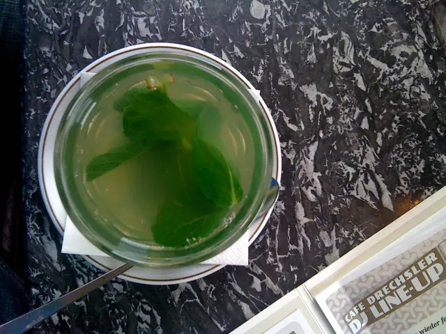 Comprehending Mint Plant Wilt: Investigating Common Reasons and Remedies for Mint Drooping