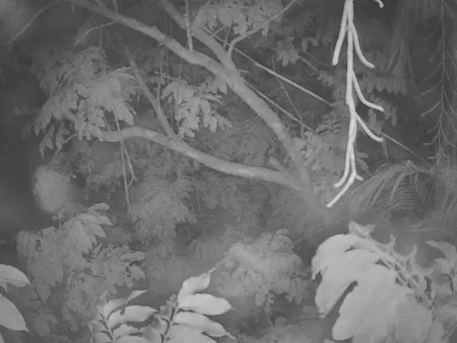 Anticipated Planting Season of 2025 Sought