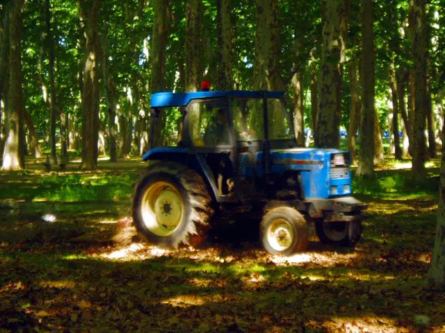 Unveiled at IFA 2025: Mammotion's Advanced Navigation System for High-Tech Lawn Mowers