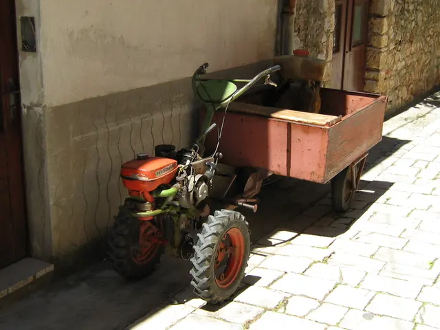 Unveiling the Worth of Mystery Labels: Examining the True Significance of Obscure Brand Names