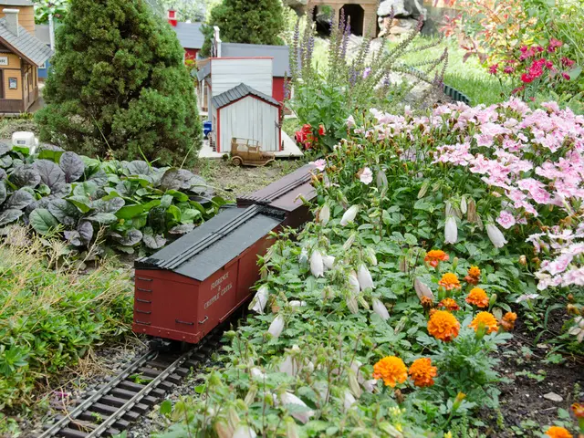 Rail Travel in Lübeck: Exploration and Encounters