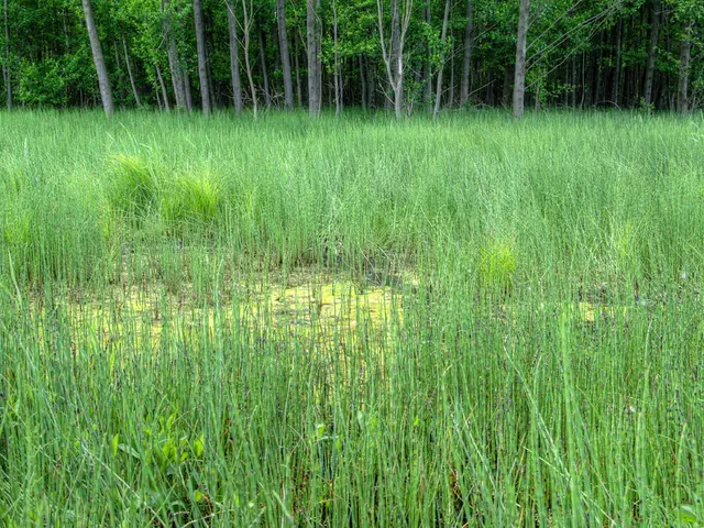 Harvest Time in the Country: Farm Life Shifts with Seasonal Changes