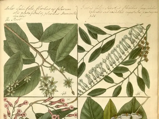 Innovative Methods for Nourishing Houseplants with Eco-friendly Fertilizers