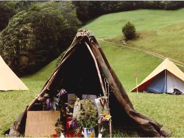 Prepare for a luminous spectacle this July in Animal Crossing: Pocket Camp