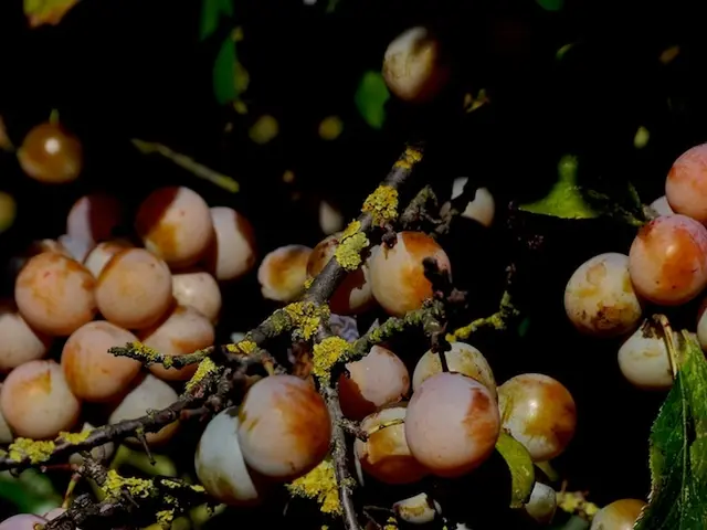 Harvesting Over 100 Edible Items During Autumn