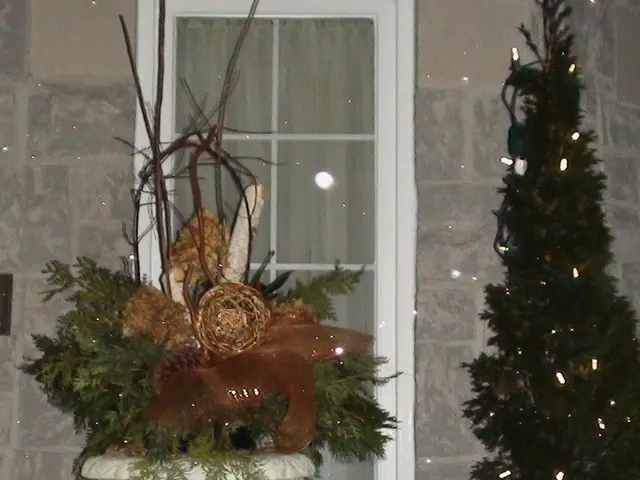 Thriving Christmas Fern Plant in Winter: Learn How to Cultivate Vibrant Feather-Like Bloom This...