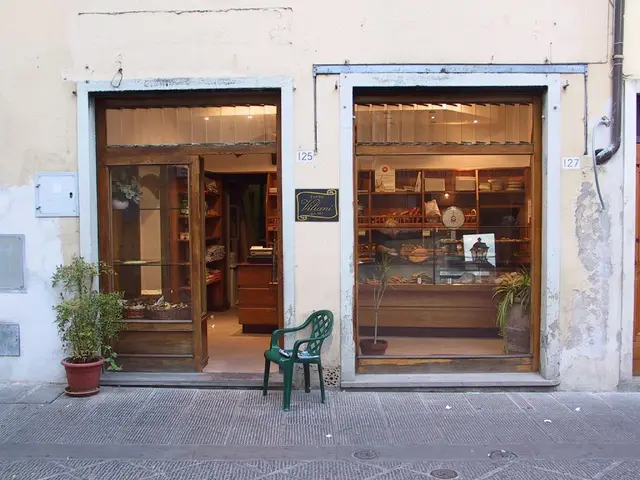 In this picture we can see glass, cupboards, basket, flower pot with plant, chair, pipe, wall and...