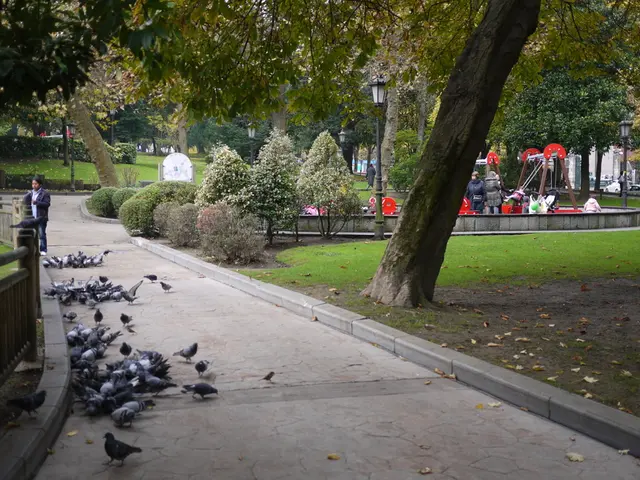 This image is taken in the playground. At the center of the image there are swings and slides. On...