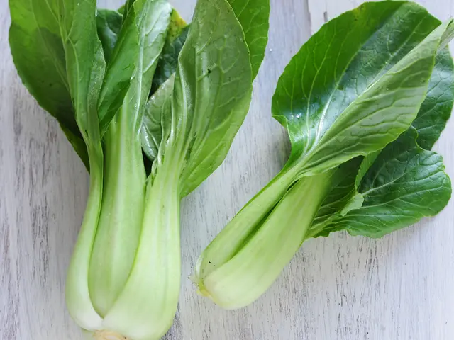 These are the two leafy vegetables.
