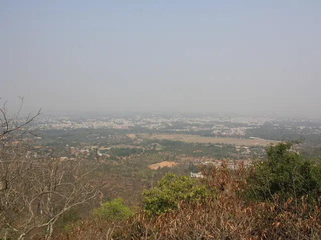 In this picture there are few plants and trees and there are buildings in the background.