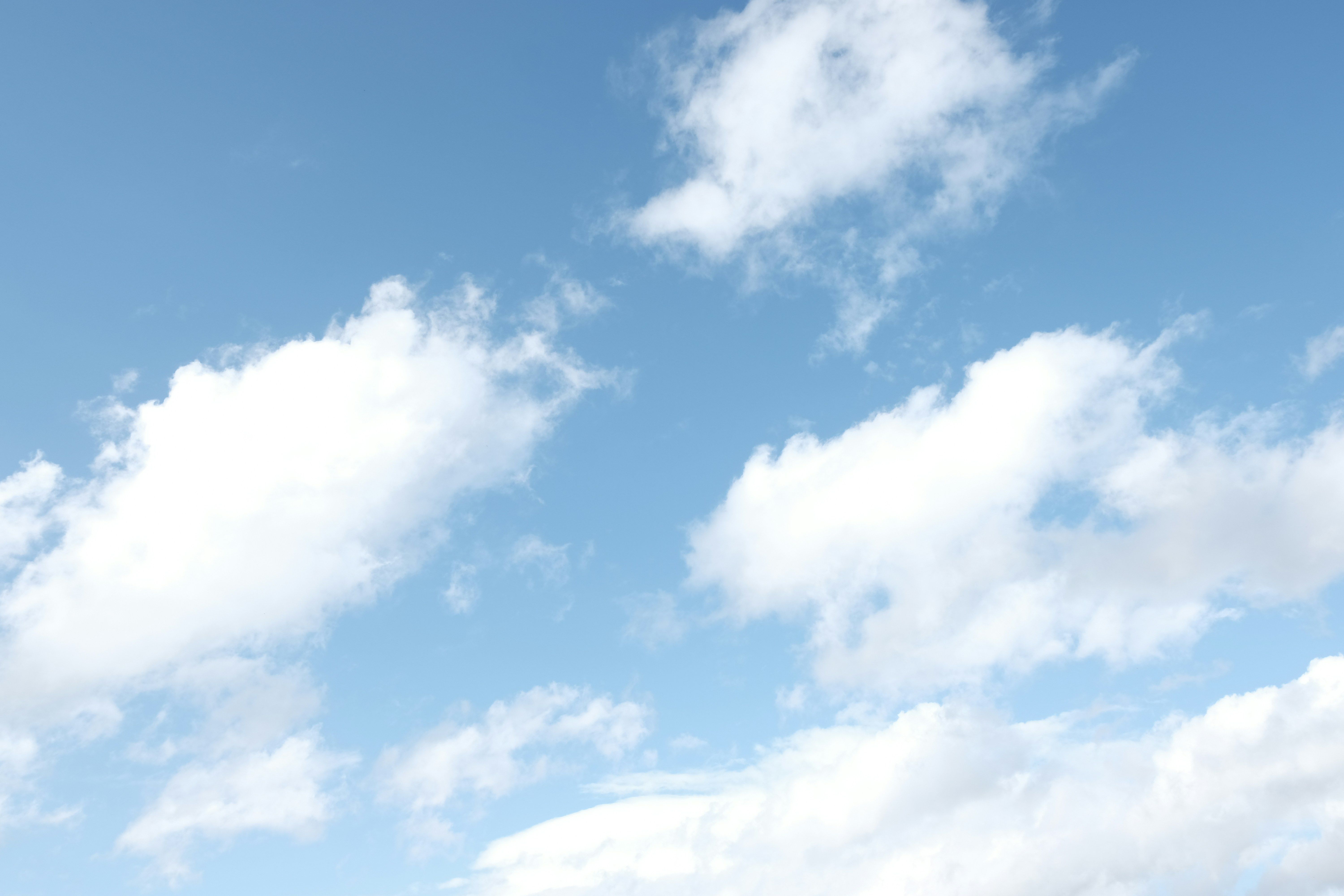 City authorities report harm to the substantial play tower compound at the recently established...